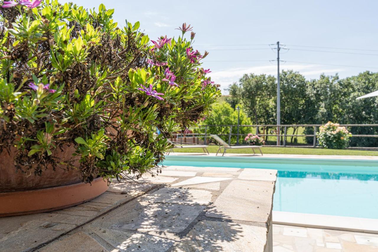 Montenovo Country House Ostra Vetere Exterior photo