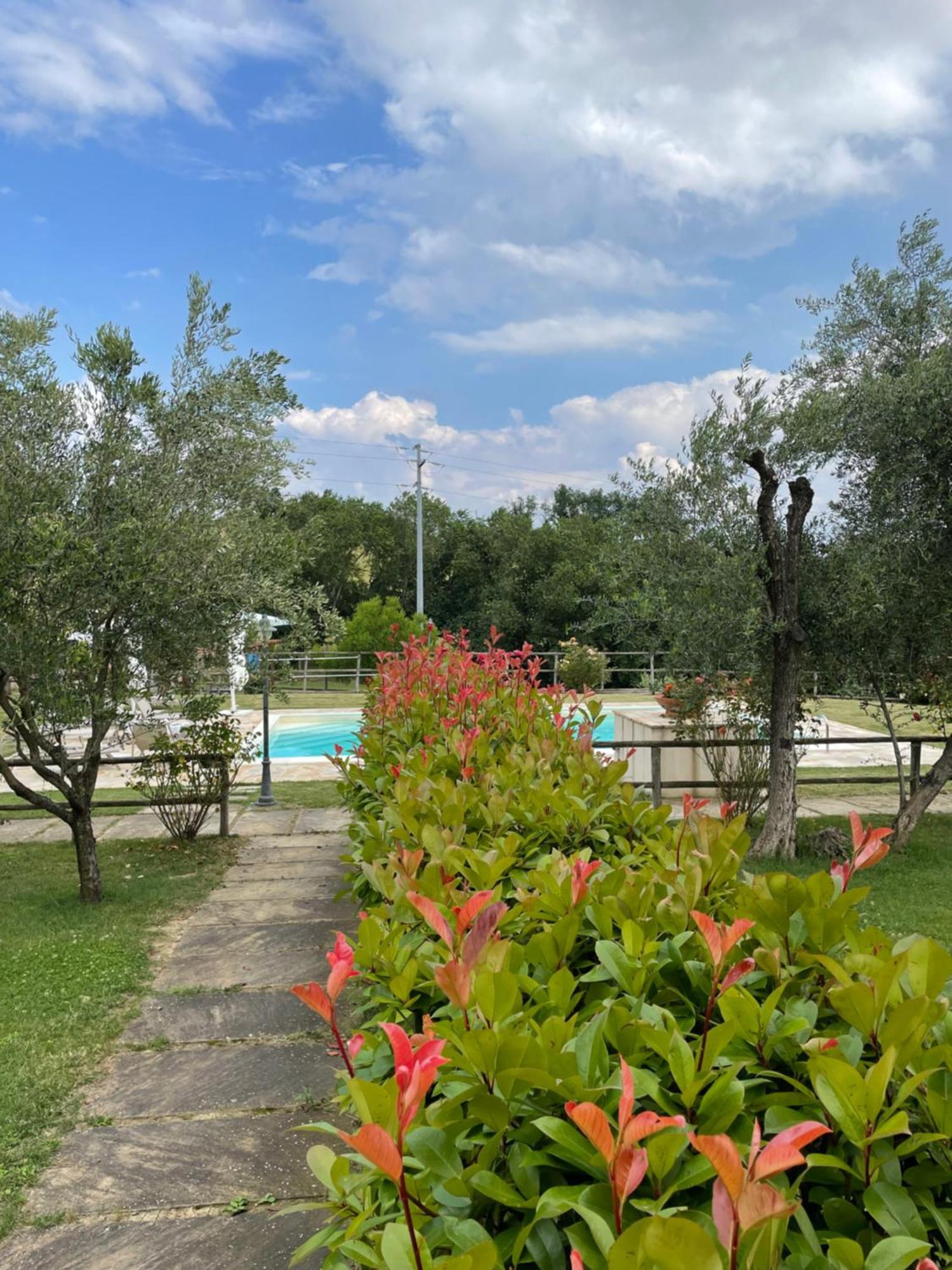 Montenovo Country House Ostra Vetere Exterior photo