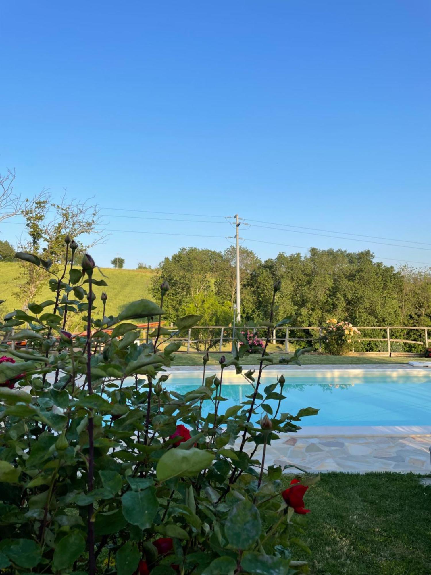 Montenovo Country House Ostra Vetere Exterior photo