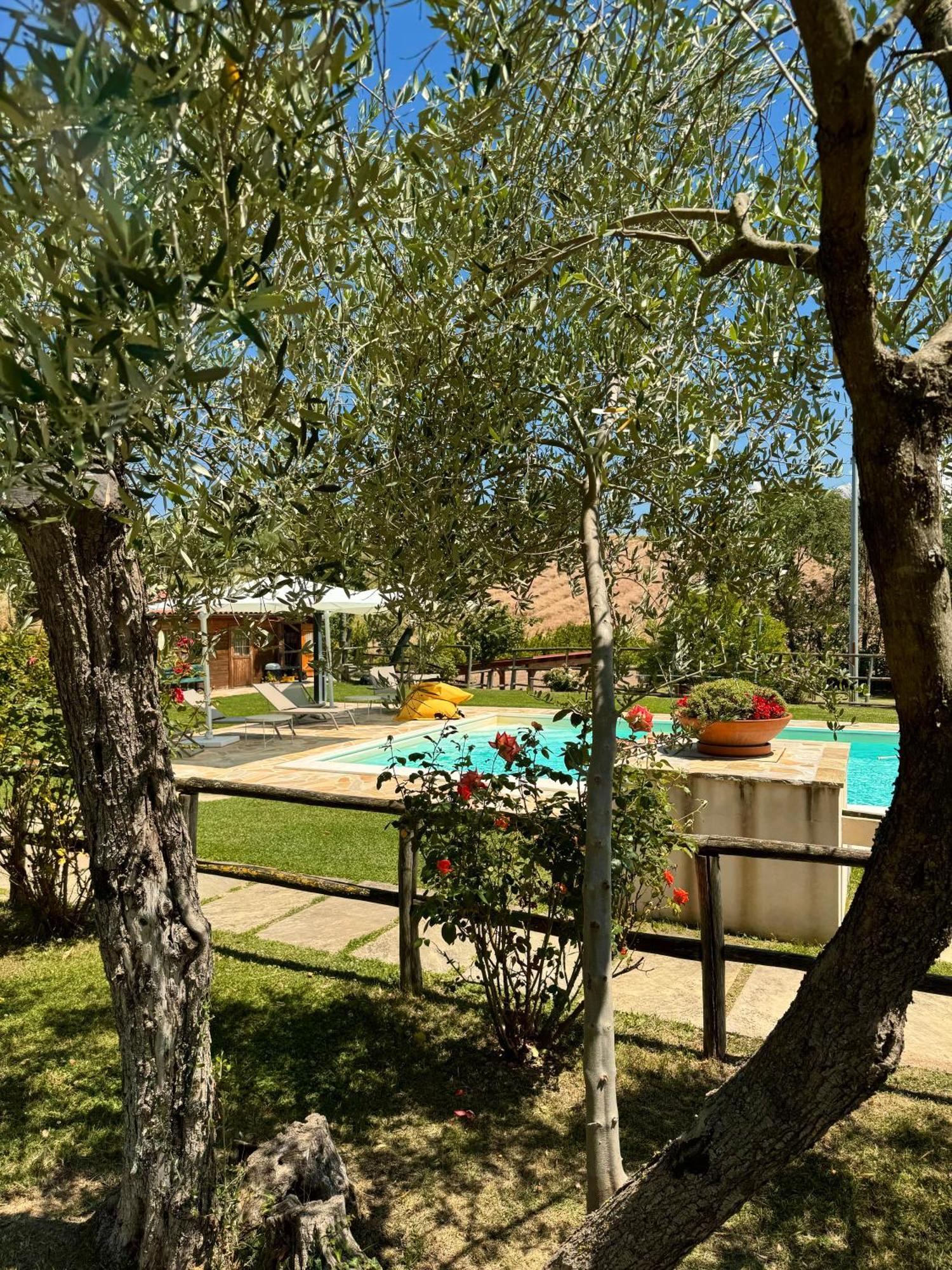 Montenovo Country House Ostra Vetere Exterior photo