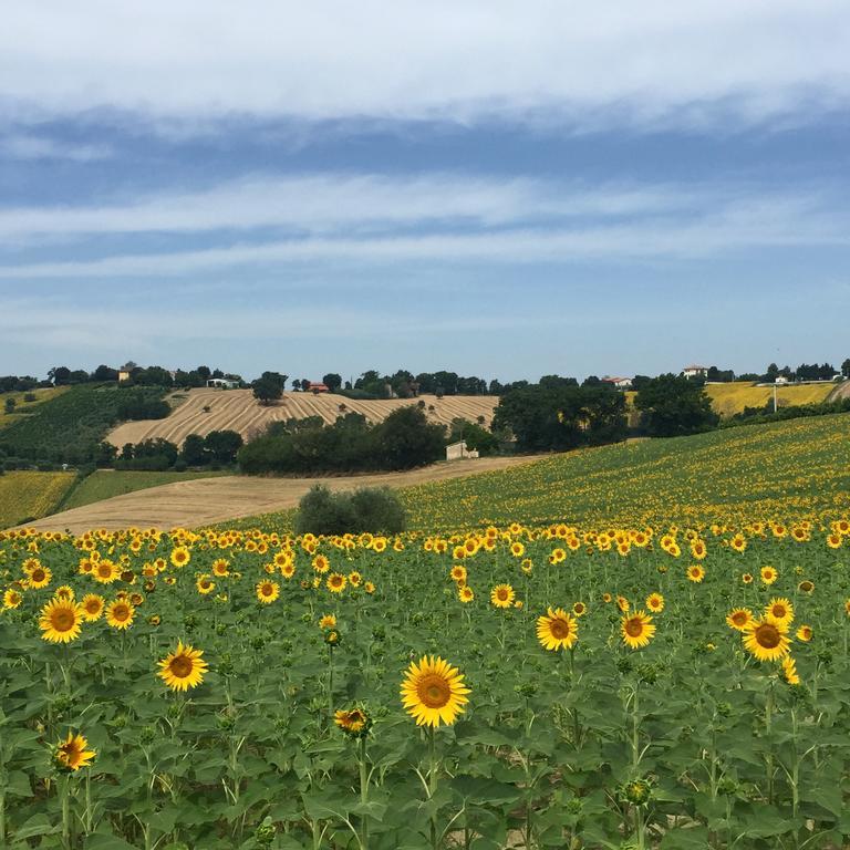 Montenovo Country House Ostra Vetere Exterior photo